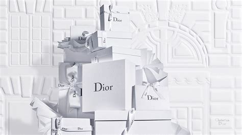 Dior official website usa